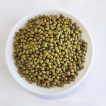 high quality green split mung bean powder seed 3.2mm